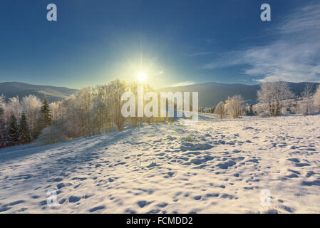 Trees covered with snow in the mountains with long shadows. Stock Photo