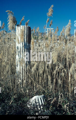 Ancient Greek Marble Column Hidden in Reed Beds at the Ancient Greek Site of Aphrodisias Turkey Stock Photo