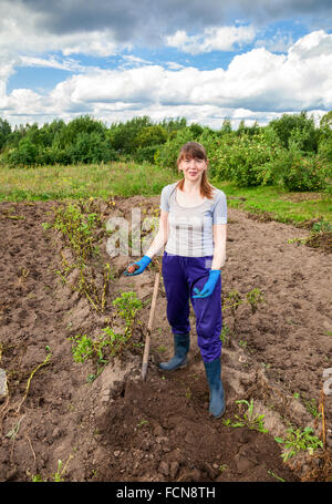 Young woman harvesting potato on the field in sunny day Stock Photo