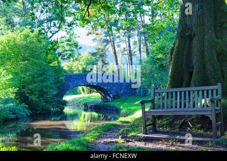 Wooden bench by an old oak tree, canal towpath and stone bridge on a forest edge, with sunshine glimmering through green foliage Stock Photo