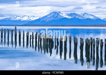 damaged wooden lake pier with single poles occupied with sea birds, snowy peaks of Patagonia Andes Chile South America Patagonia Stock Photo