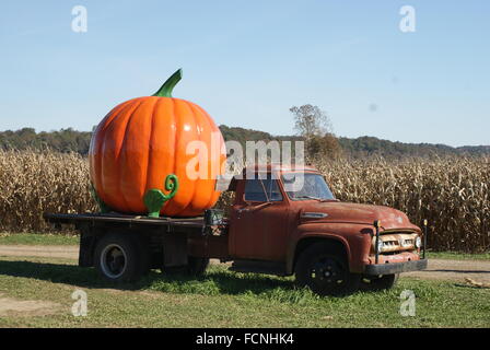 A large pumpkin on the bed of an old flatbed truck by a corn field. Stock Photo