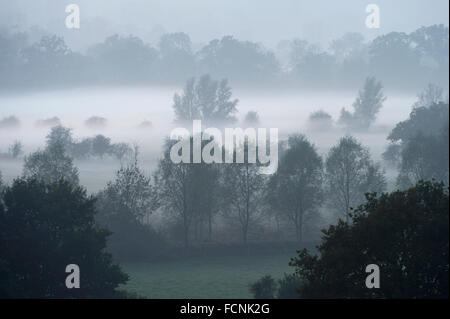 Rising Mist over River Stour at sunset, near Flatford, Dedham Vale, Essex / Suffolk border, England, October 2015 Stock Photo