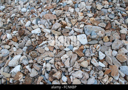 Fossil-bearing pebbles on beach at Charmouth on Britain's Jurassic coast. Background or wallpaper image. Stock Photo