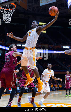 Knoxville, Tennessee, USA. 23rd  January, 2016. Armani Moore #4 of the Tennessee Volunteers grabs the rebound during the NCAA basketball game between the University of Tennessee Volunteers and the University of South Carolina Gamecocks at Thompson Boling Arena in Knoxville TN Tim Gangloff/CSM Stock Photo