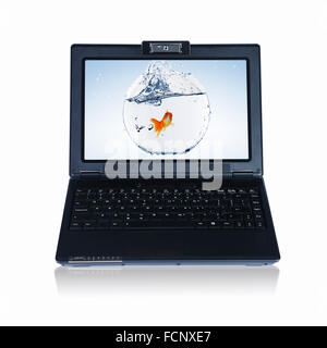 picture of gold fish and laptop computer Stock Photo