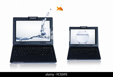 picture of gold fish and laptop computer Stock Photo