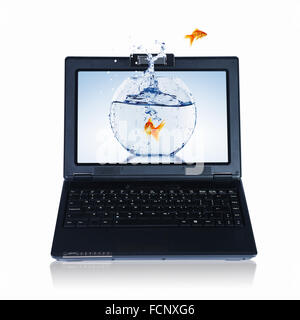 picture of gold fish and laptop computer Stock Photo