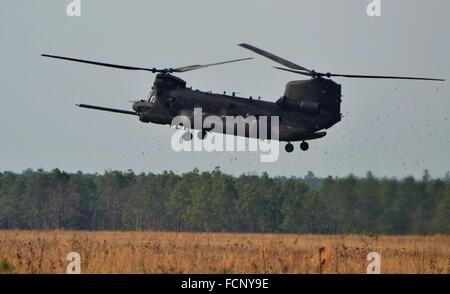 A black special forces CH-47 Chinook assigned to the U.S. Army Nightstalkers lands in a field. Stock Photo
