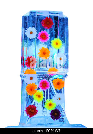 Multicolored flowers frozen into the ice box transparent Stock Photo