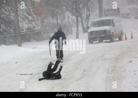 Staten Island, NY, USA. 23rd Jan, 2016. People snowboard down the middle of a Staten Island street during Winter Storm Jonas. A travel ban had been in place for hours, but the ferry still operated. Snowfall projections for Staten Island were approximately 12-18in, with winds gusting up to 50 miles an hour. Late afternoon, buses ceased to run and a travel ban was enforced by the NYPD. This lack of transportation stranded many residents of Staten Island who had taken the ferry home. People were forced to try and walk to their destination in the blizzard. New York Governor Andrew Cuomo declared Stock Photo