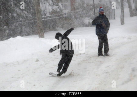 Staten Island, NY, USA. 23rd Jan, 2016. People snowboard down the middle of a Staten Island street during Winter Storm Jonas. A travel ban had been in place for hours, but the ferry still operated. Snowfall projections for Staten Island were approximately 12-18in, with winds gusting up to 50 miles an hour. Late afternoon, buses ceased to run and a travel ban was enforced by the NYPD. This lack of transportation stranded many residents of Staten Island who had taken the ferry home. People were forced to try and walk to their destination in the blizzard. New York Governor Andrew Cuomo declared Stock Photo