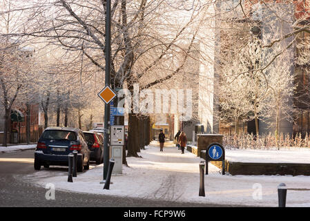 Lund, Sweden - January 21, 2016: Beautiful frosty trees frames this lovely walkway in central Lund. People walk up and down the Stock Photo