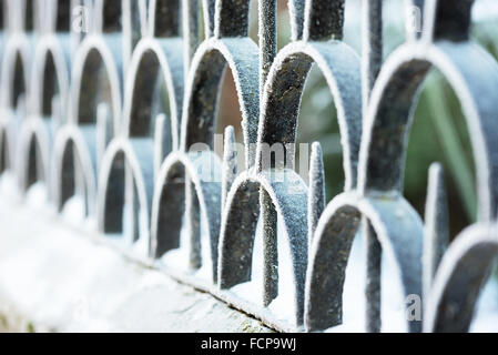 Abstract detail of an iron fence with frost. Shallow depth of field. This was a cold day with lots of moist in the air. Stock Photo