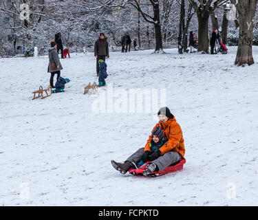 Father and child sledding on a snowy slope in a public park in winter, Berlin, Mitte, Volkspark am Weinbergsweg, Stock Photo