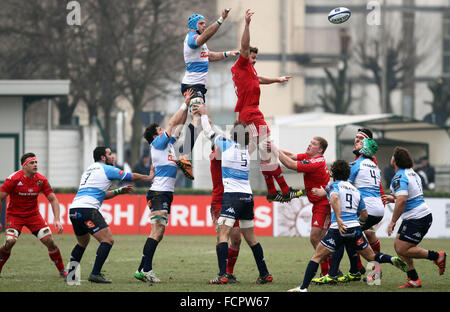 Treviso, Italy. 24th January, 2016.  A touche during Rugby Champions Cup match  between Benetton Treviso and Munster Rugby on 24th January, 2016 at Monigo Stadium. Credit:  Andrea Spinelli/Alamy Live News Stock Photo
