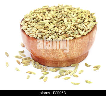 Fennel seeds in a bowl over white background Stock Photo