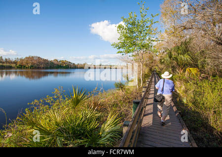 Boardwalk in Six Mile Cypress Slough Preserve in Fort Myers Florida Stock Photo