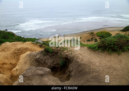 Alamere Falls hiking trail and coastline in Point Reyes National Seashore in Marin County, California Stock Photo
