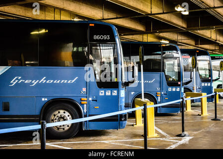 Greyhound Buses in Union Station Bus Terminal, Washington DC Stock Photo
