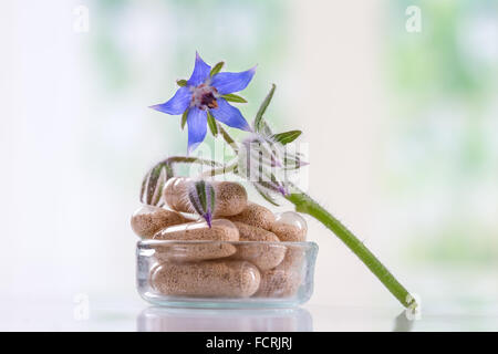 Herbal suplement  with borage flower Stock Photo