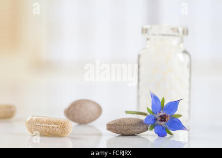 Homeopathy globules with borage flower Stock Photo