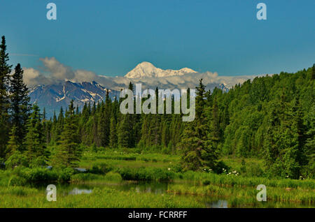 Mount Denali (Mount McKinley) seen free of clouds with wetland and forest in the foreground. Stock Photo