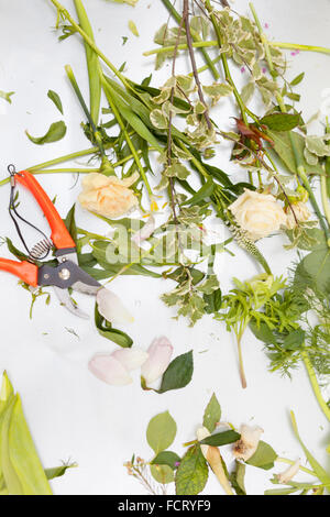 Florist conceptual photo. workshop process Stock Photo
