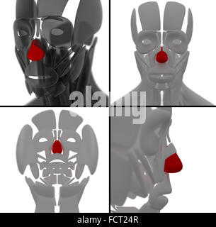 medical accurate illustration of the neck and throat muscles Stock ...