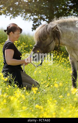woman and Icelandic horse Stock Photo