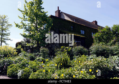 SHRUBS GROWING IN AN ENGLISH COTTAGE GARDEN AT RHS HYDE HALL. UK. Stock Photo