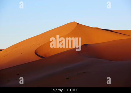 China, Inner Mongolia, Badain Jaran desert, Gobi desert Stock Photo