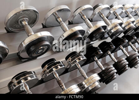 line of metal weights in gym Stock Photo