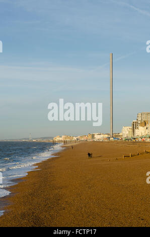 Brighton, UK. 25th January 2016. UK Weather. Clear blue skies and mild weather in Brighton, East Sussex, this morning after a foggy weekend. Temperatures have reached 11 degrees Celsius before 10am. Credit:  Francesca Moore/Alamy Live News