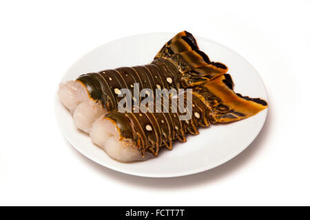 Raw Caribbean ( Bahamas ) rock lobster (Panuliirus argus) or spiny lobster tails isolated on a white studio background. Stock Photo