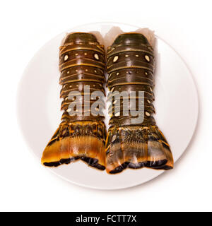 Raw Caribbean ( Bahamas ) rock lobster (Panuliirus argus) or spiny lobster tails isolated on a white studio background. Stock Photo