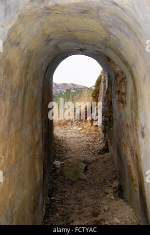 WWI, Veneto Pre-Alps, Italy, Mount Forno. A nice stone plaque placed in ...