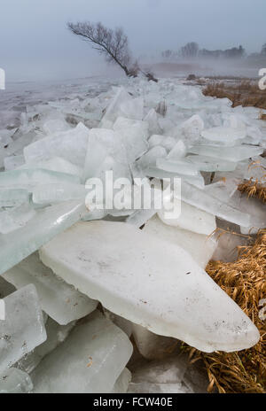 Gross Neuendorf, Germany. 25th Jan, 2016. A pile of ice floes lies at ...