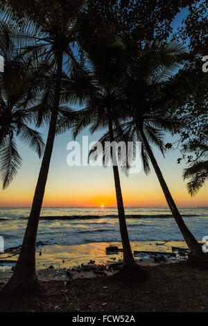 Palm trees at sunset by Hermosa beach on the southern coast of the Nicoya Peninsula; Santa Teresa, Puntarenas, Costa Rica Stock Photo