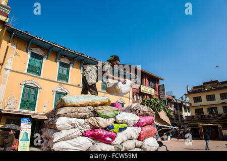 Nepal, Bouddhnath, daily life Stock Photo