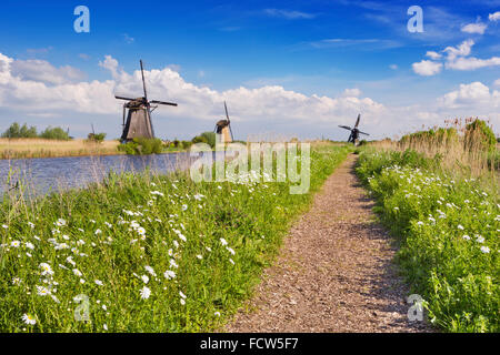 A path along traditional Dutch windmills on a bright and sunny day at the Kinderdijk in The Netherlands. Stock Photo