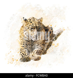 Digital Painting of Leopard Portrait Stock Photo