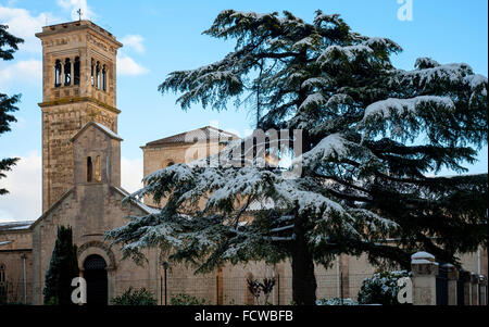 large pine tree near a church after a heavy snowfall. Santuario della scala Noci, apulia. Italy Stock Photo