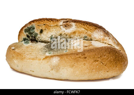 Moldy  bread, isolated on white background Stock Photo