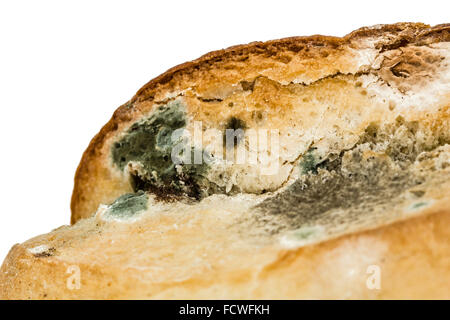 Moldy  bread close-up, isolated on white background Stock Photo