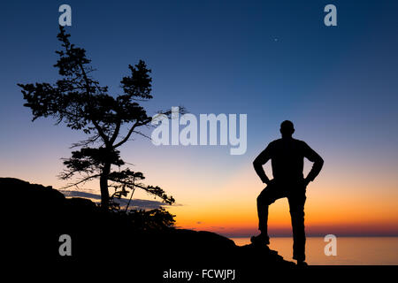 Silhouette of a tree and a hiker on the coast of Acadia National Park, Mount Desert Island, Maine, New England, USA. Stock Photo