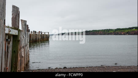 People fishing at the end of a dock in Springtime. Nova Scotia coastline in June. Stock Photo