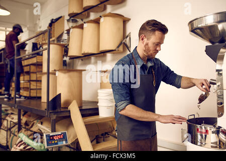 Professional coffee roaster operating a roasting machine in dist Stock Photo