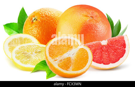 mix of citrus fruits isolated on the white background. Stock Photo