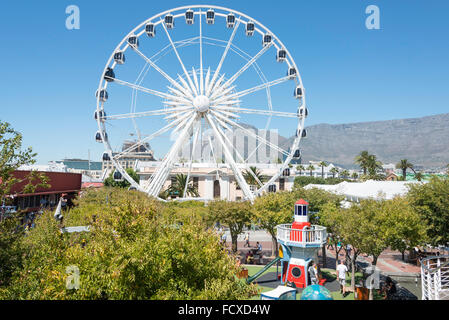 'Cape Wheel' at Victoria & Albert Waterfront, Cape Town, Western Cape Province, Republic of South Africa Stock Photo